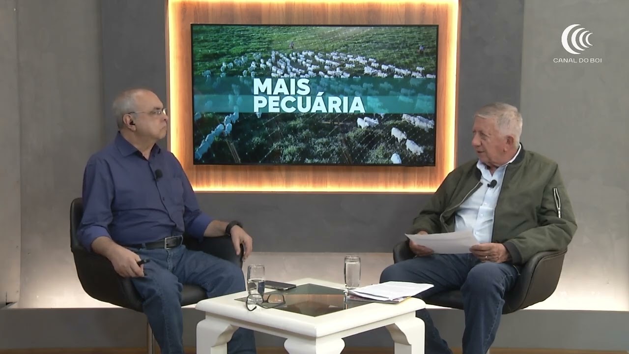 Média diária da carne bovina exportada em julho/26 é 8,7% maior que em julho/25