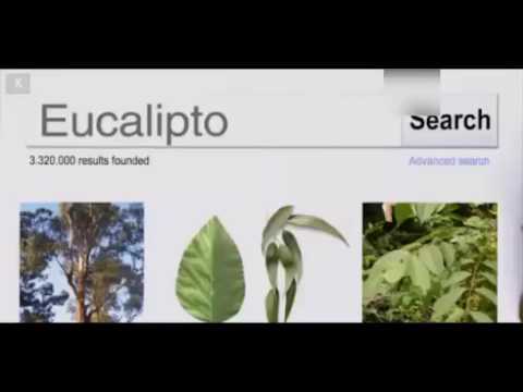 El Error de Mauricio Caranta. Talleres 1 Instituto 2