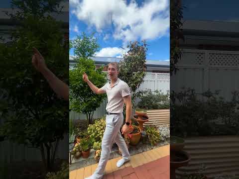 2/181 Surrey Road, Rivervale, WA 6103, 3 Kuwarto, 1 Banyo, House