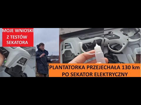 Plantatorka Borówki Przyjechała 130 Kilometrów Żeby Kupić Sekator Elektryczny Ten Który TESTUJE