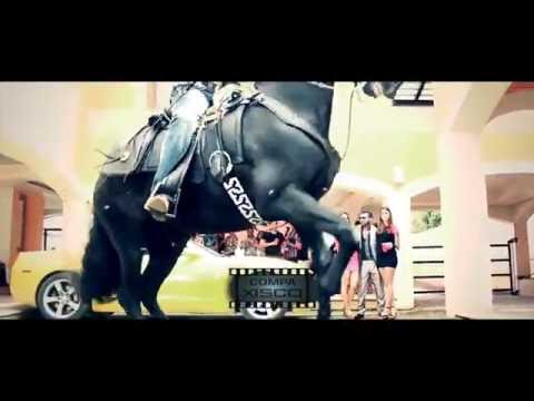 El Jimmy! - [Los Juniors Silva] - Exclusivo (2015)