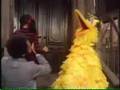 Sesame Street Big Bird S Debut