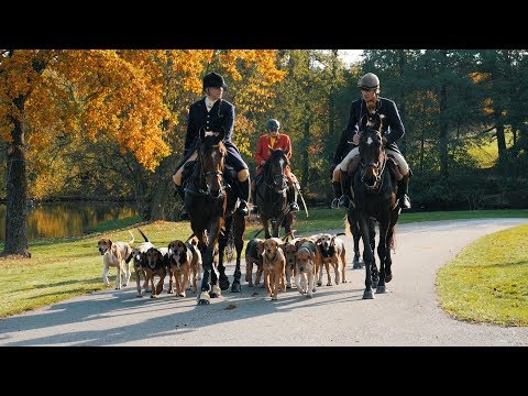 Reitjagd in Böhmen 2019 Parforsní hon Martinice-Drahenice