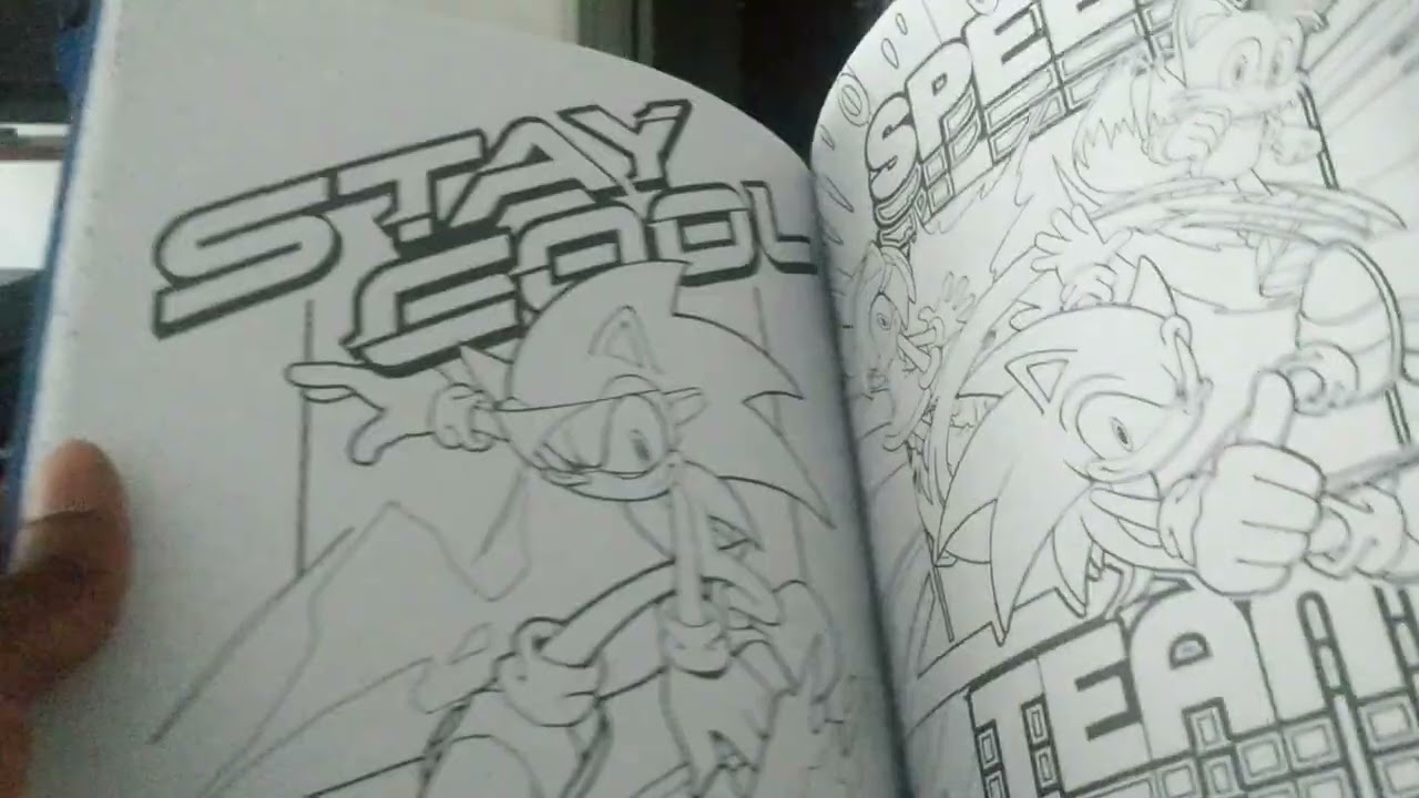 Sonic the Hedgehog Adult Coloring Book Review - Metro Sonic
