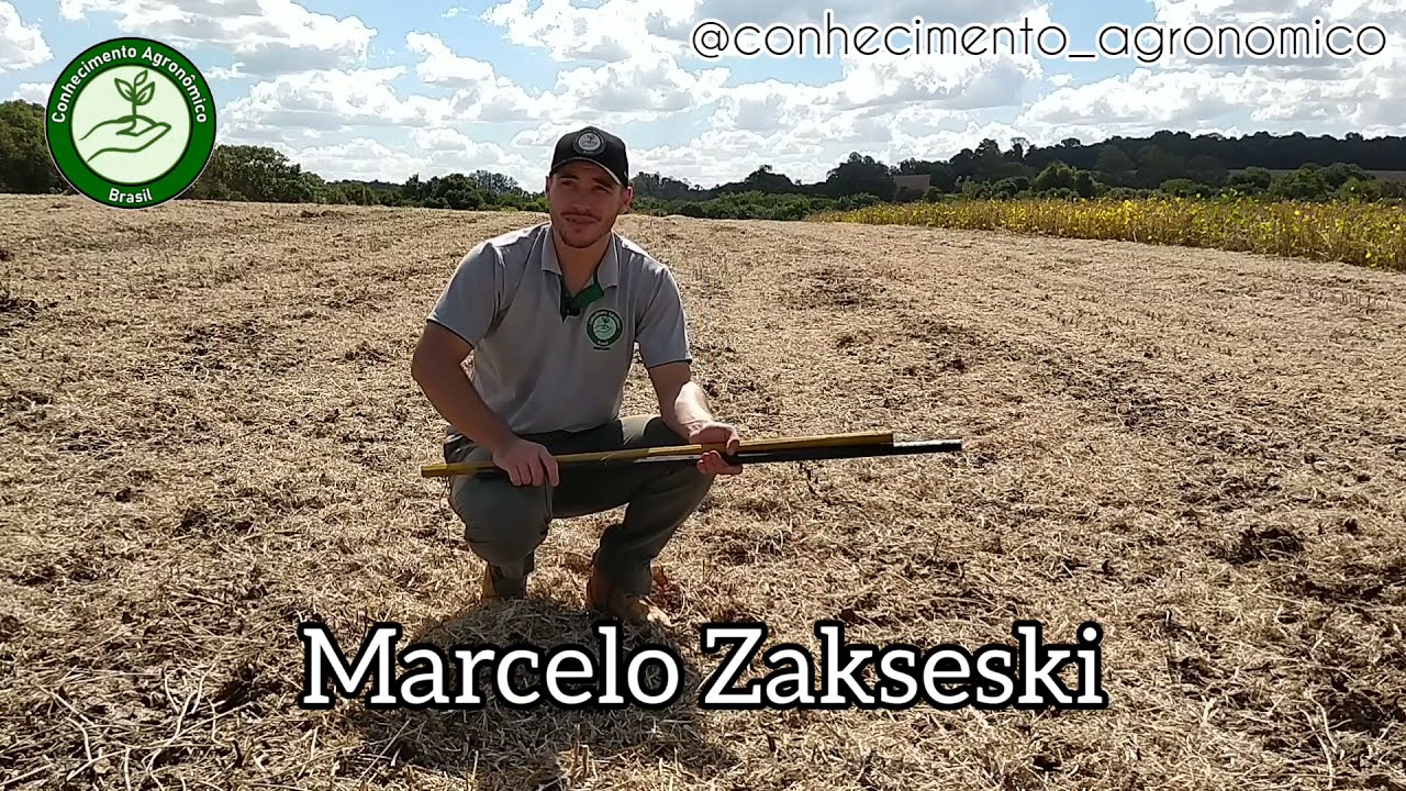 Estimativa de perdas na colheita da Soja | Por: Marcelo Zakseski