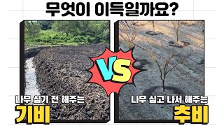 비료! 나무 재테크의 수익률을 극대화 시키는 ‘거름’(퇴비) 작업!  [feat.추비보단 기비가 좋은 이유]