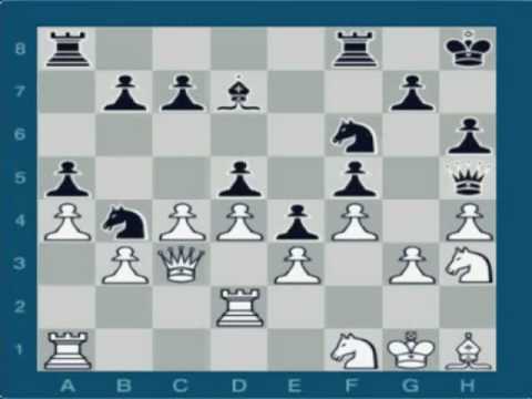 Alexander Alekhine vs Efim Bogolyubov