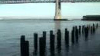 &quot;Organism&quot; By Tommy Guerrero