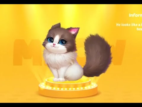 Kitten Match - We are building a house for cute cats - Animal house 2 (New Cat)