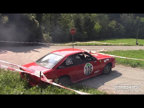 25. Rally Alpi Orientali Historic | Pure Sound & Show