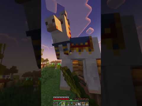 EPIC Minecraft 1.19 Shaders: Insane Survival SMP