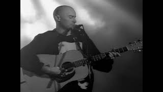 THE THE - TRUE HAPPINESS THIS WAY LIES (live)