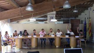 Ple ordinari del 31 de juliol de 2025