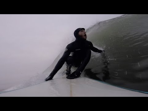 Back to the Island - FayDay