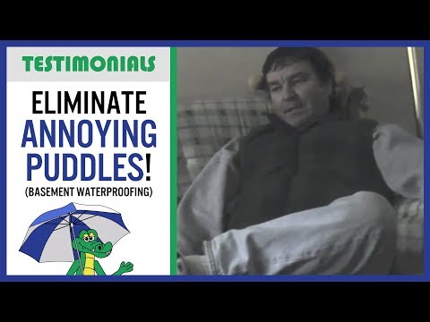 🐊 Eliminate Annoying Puddles (waterproofing) - Dry Guys Testimonial