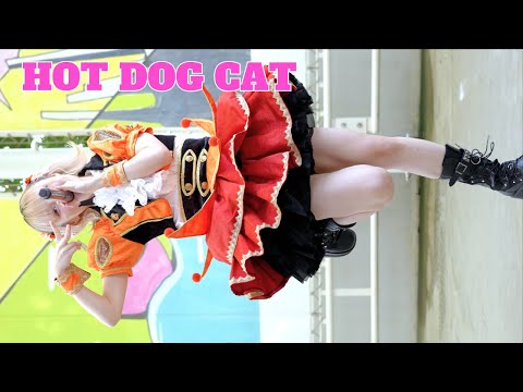 動画のタイトルなど