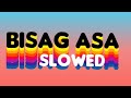 BISAG ASA ( SLOWED )