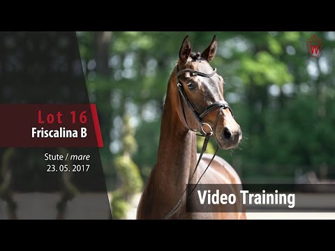 No 16 Friscalina B v. For Romance II - Tuschinski_Trainingsvideo