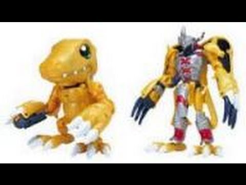 Warp Digvolving Agumon to War Greymon
