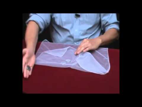 Flipper Coin Pro Gravity  by Tango- magictricks.co.uk