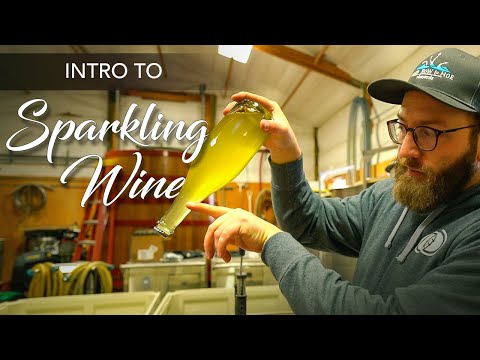 Learn the Basics of Sparkling Wine Production