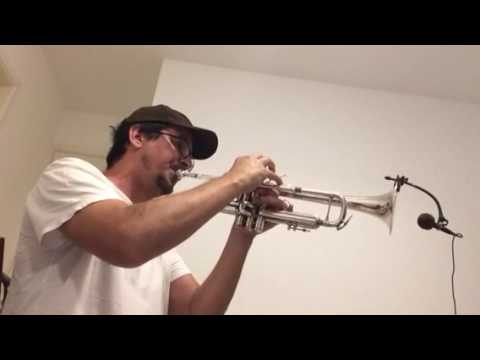 Depois dos temporais, solo de Márcio Montarroyos ( música Ivan Lins)