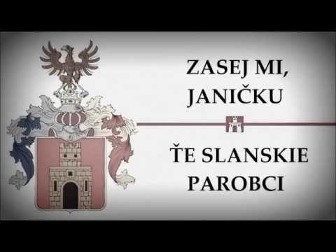Piesne z Gemera 038 - ZASEJ MI, JANIČKU / ŤE SLANSKIE PAROBCI