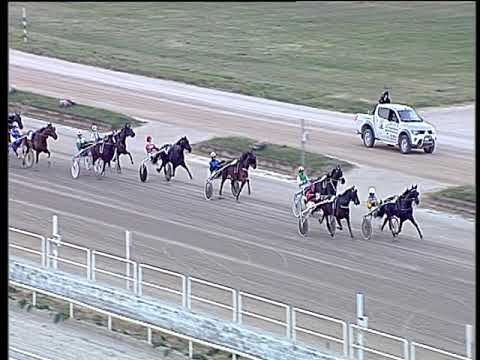 Trotto 22/03/2019 - 7ª corsa