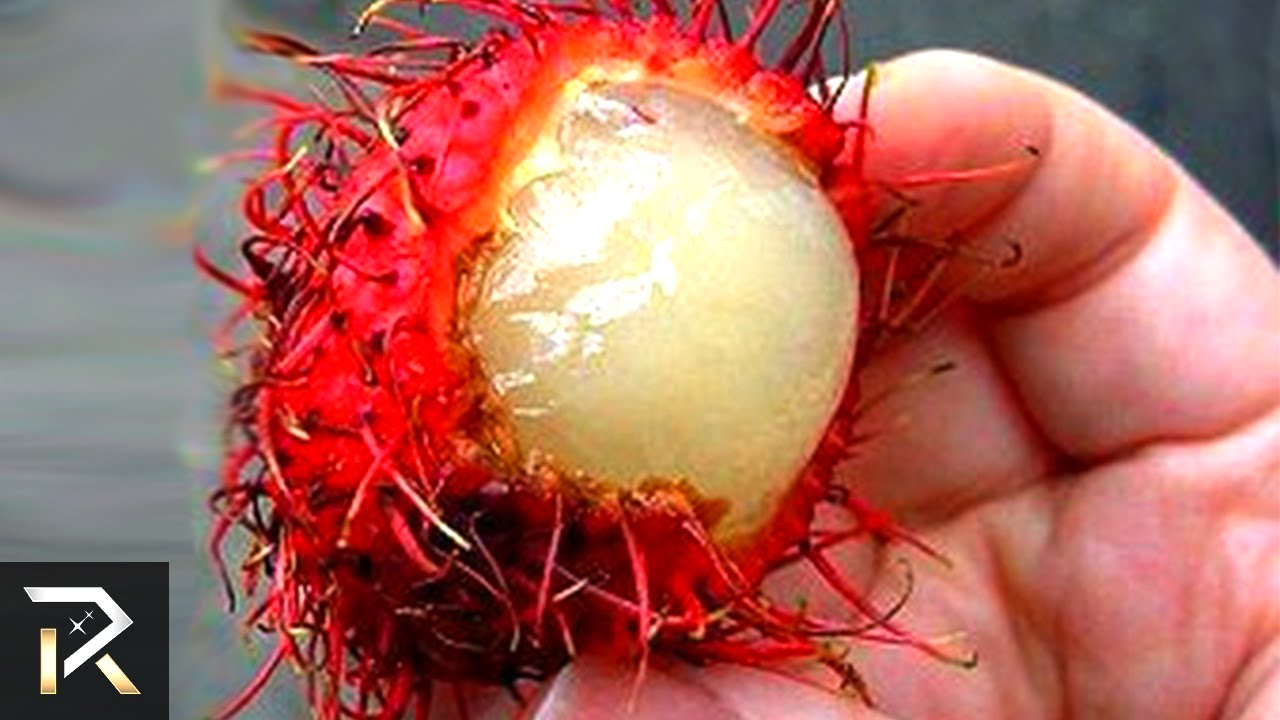 Exotic Foods That Can Actually Kill You