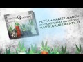 Sobota - Za damski chuj 