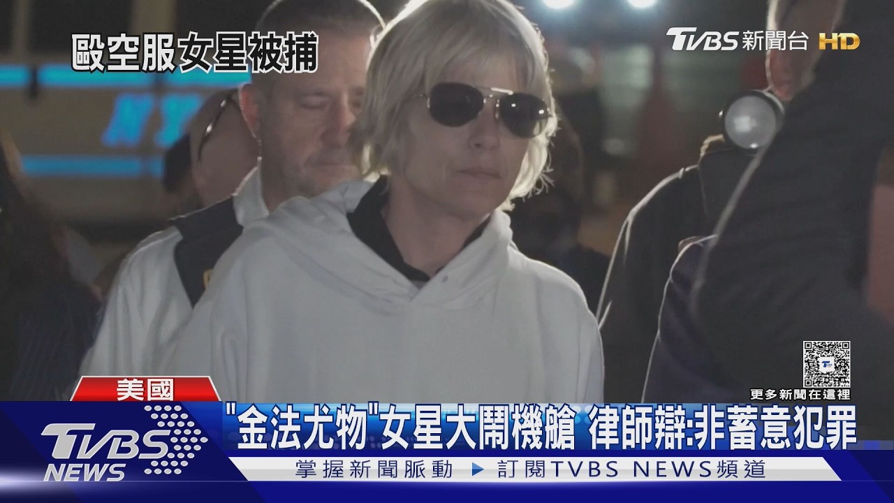影音／「金法尤物」女星機上失控！毆打咬傷空服員　下機遭到逮捕