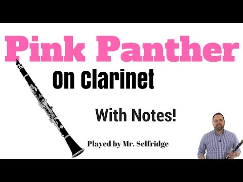 Pink Panther COVER on Clarinet