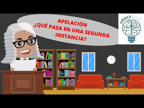 APPEAL WHAT HAPPENS IN A SECOND INSTANCE