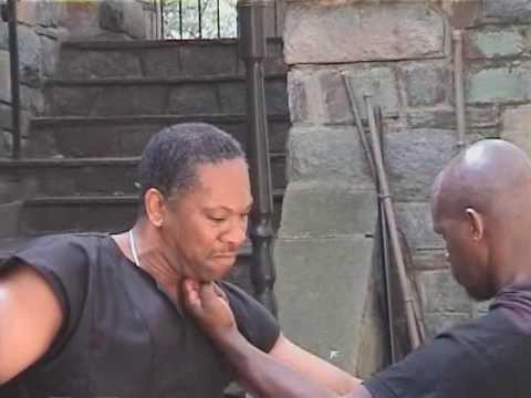 Hsing-I..XingYi Quan combat DVD -  combat kung-fu