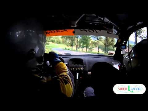 Rally RAAB 2014 - Penserini P. - Romei G. - CLIO S1600 - PS6 - VITTORIA ASSOLUTA