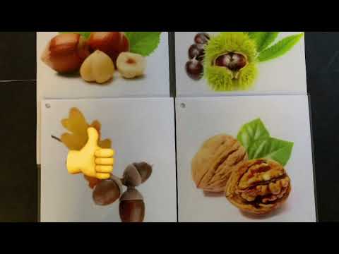 ⭐️PETITE SECTION - langage - imagier de l’automne