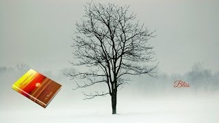 Bliss ~ Sprouted Soul: Whole-Souled Poems