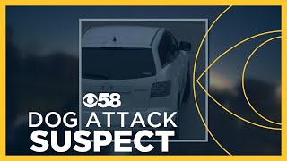 Oak Creek police search for man believed to be responsible for dog attack