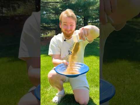 This Dirt has REAL Gold In It…