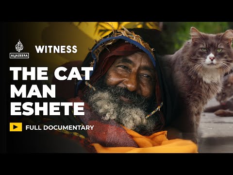How an Ethiopian refugee built a life among stray cats in New York | Witness Documentary