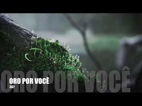Oração 307