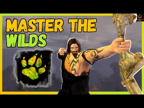 New Players Guide to The Ranger In Guild Wars 2
