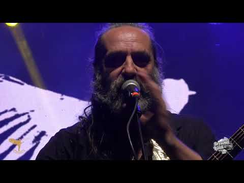 Adrian Bezna - Live @ Baricada Folk l Summer Camp Brezoi l 18 iunie 2022