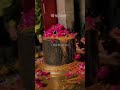 भगवान की शरण में हो जाना Hindudeity Hindugod Mahadev Status Tr