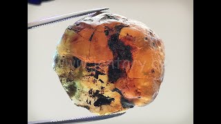 Okno do křídového jantaru BO-14