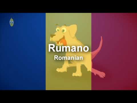 Il Pulcino Pio - Multilanguage