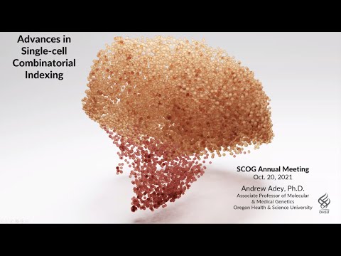 Recent Advances in scEpigenomics 2021 - Andrew Adey (OHSU, Portland, USA)
