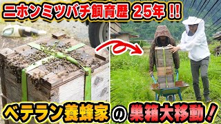 【ニホンミツバチ飼育歴25年！】ベテラン養蜂家 師匠の巣箱大移動！