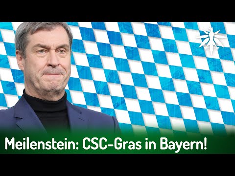 Meilenstein: CSC-Gras in Bayern! | DHV-News # 487