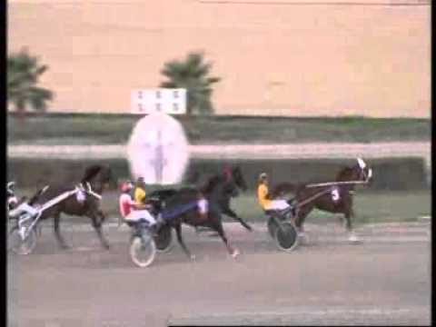 www kennethvella.com Meeting (36) Date 25-9-2015 Race 1,2,3,4,5,6,7,8,9,10